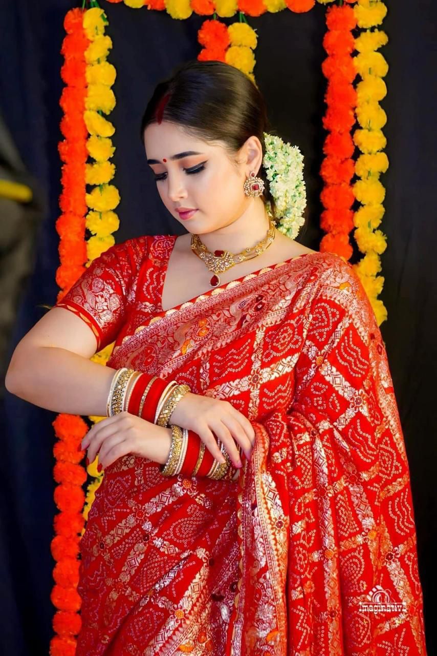 Viscose Meenakari Bandej Saree