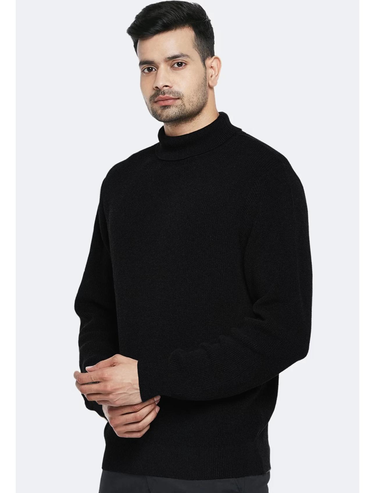 Zara Highneck