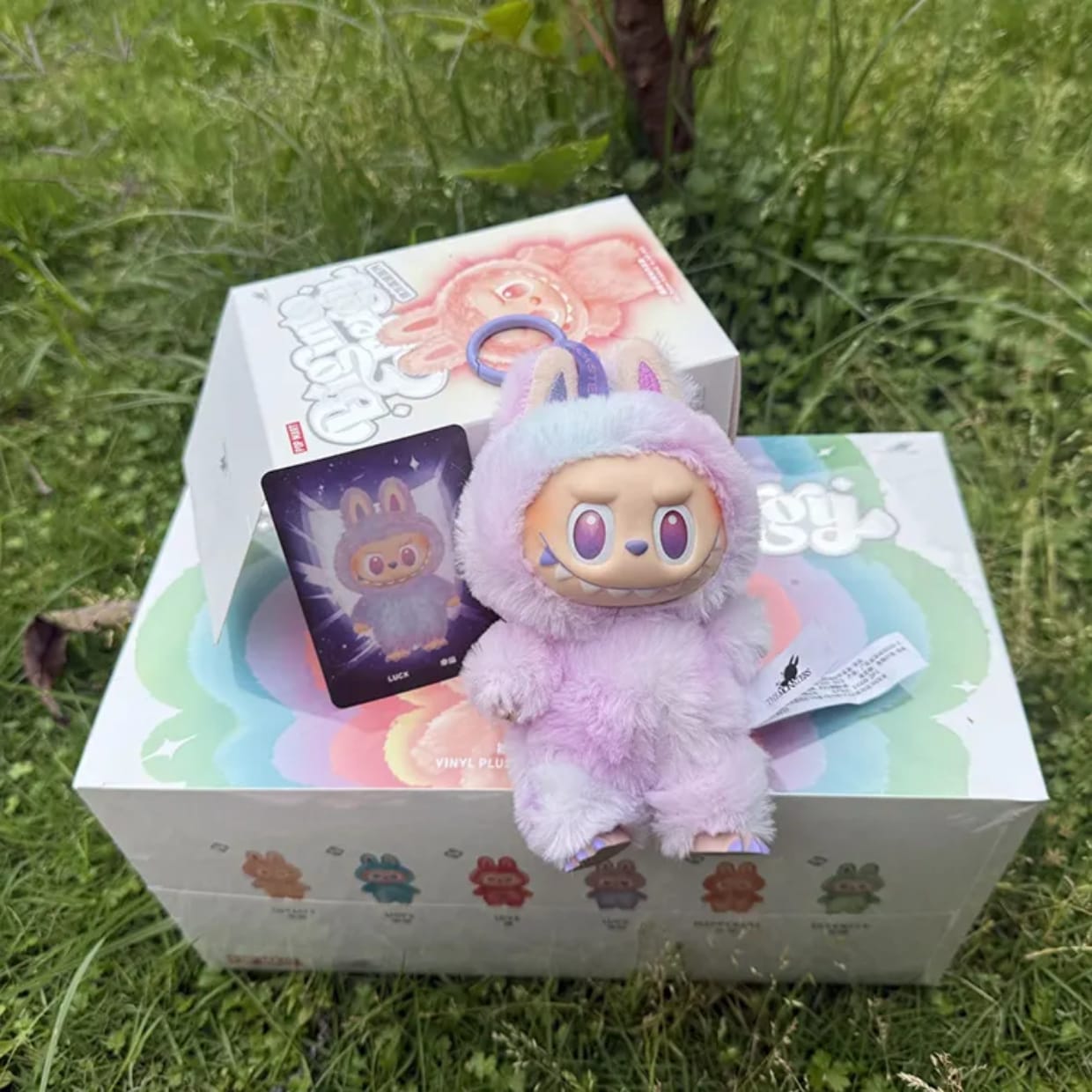 Labubu Mystery Box