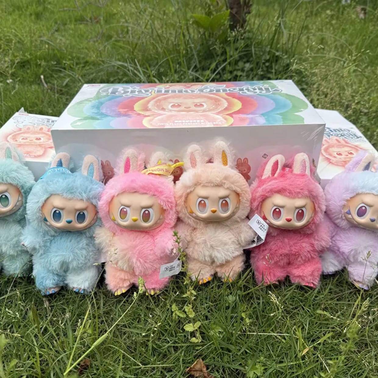 Labubu Mystery Box
