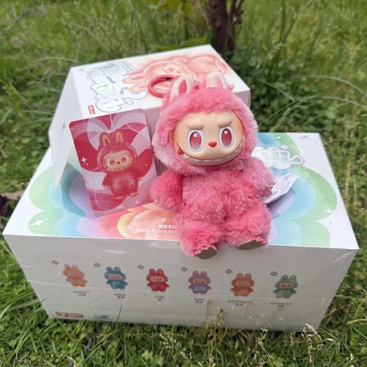 Labubu Mystery Box