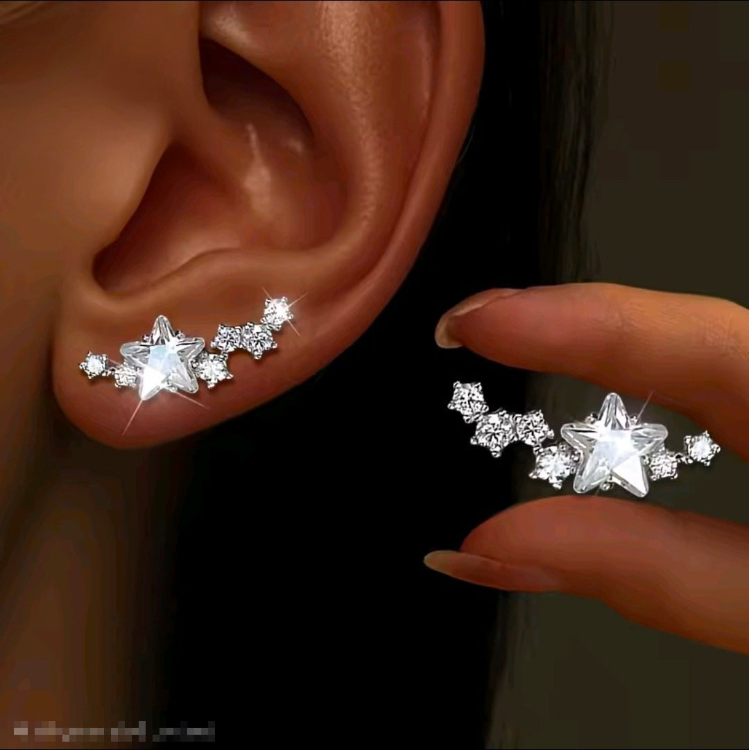 Silver Plated Earrings