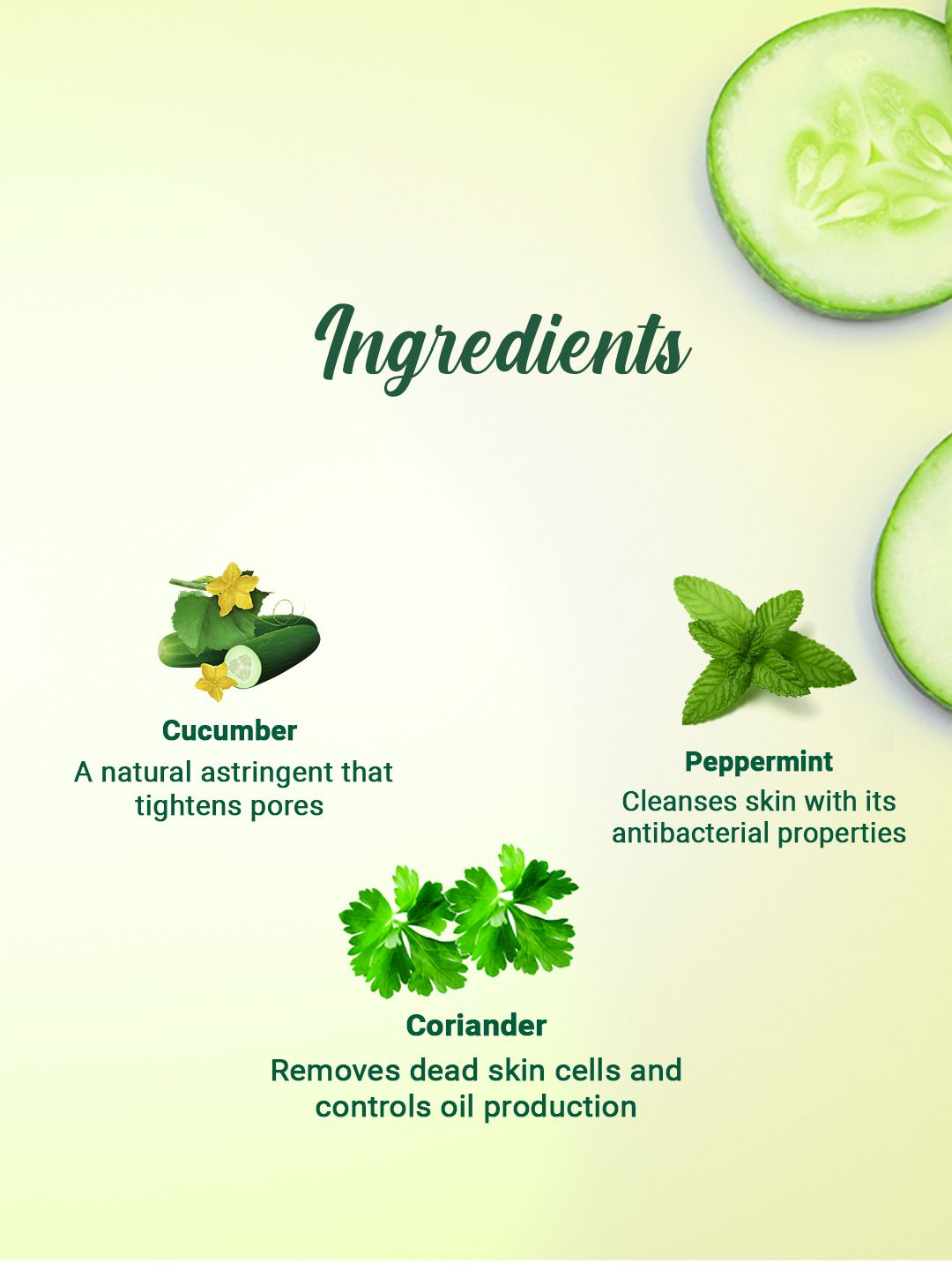 Biotique Cucumber Pore Tightening Normal to Oily Skin Refreshing Toner