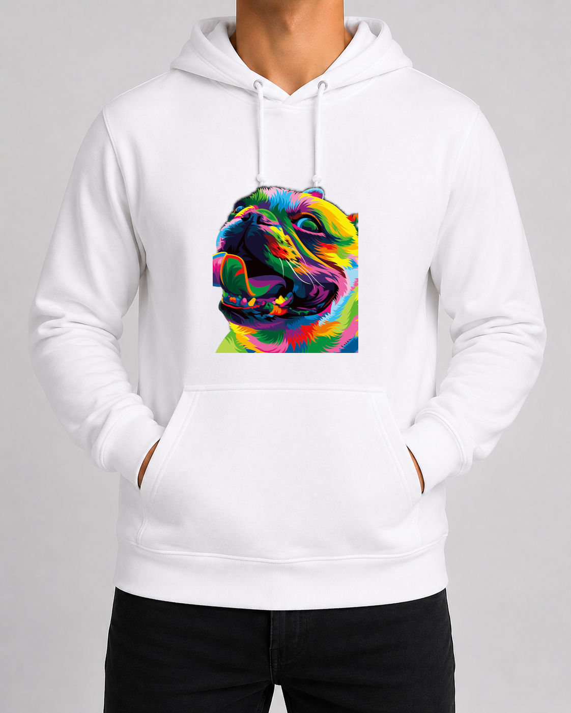 Colourful Dog 2 Hoodie
