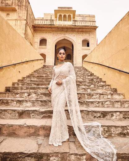 Butterfly Net Saree