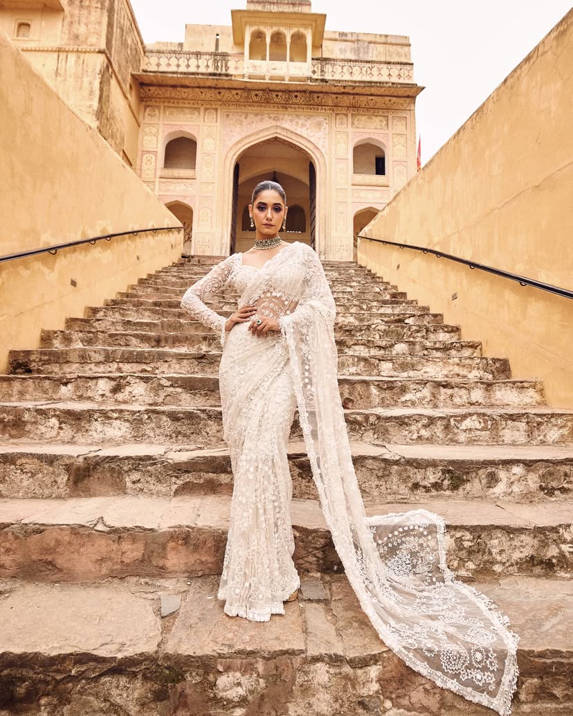 Butterfly Net Saree
