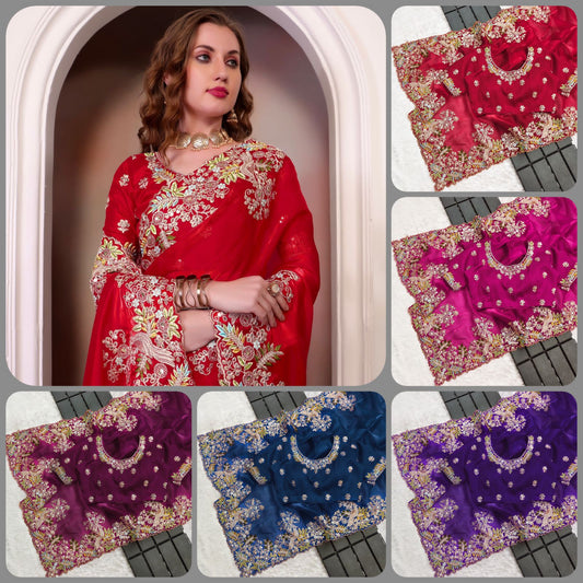 Jimmy Choo Saree