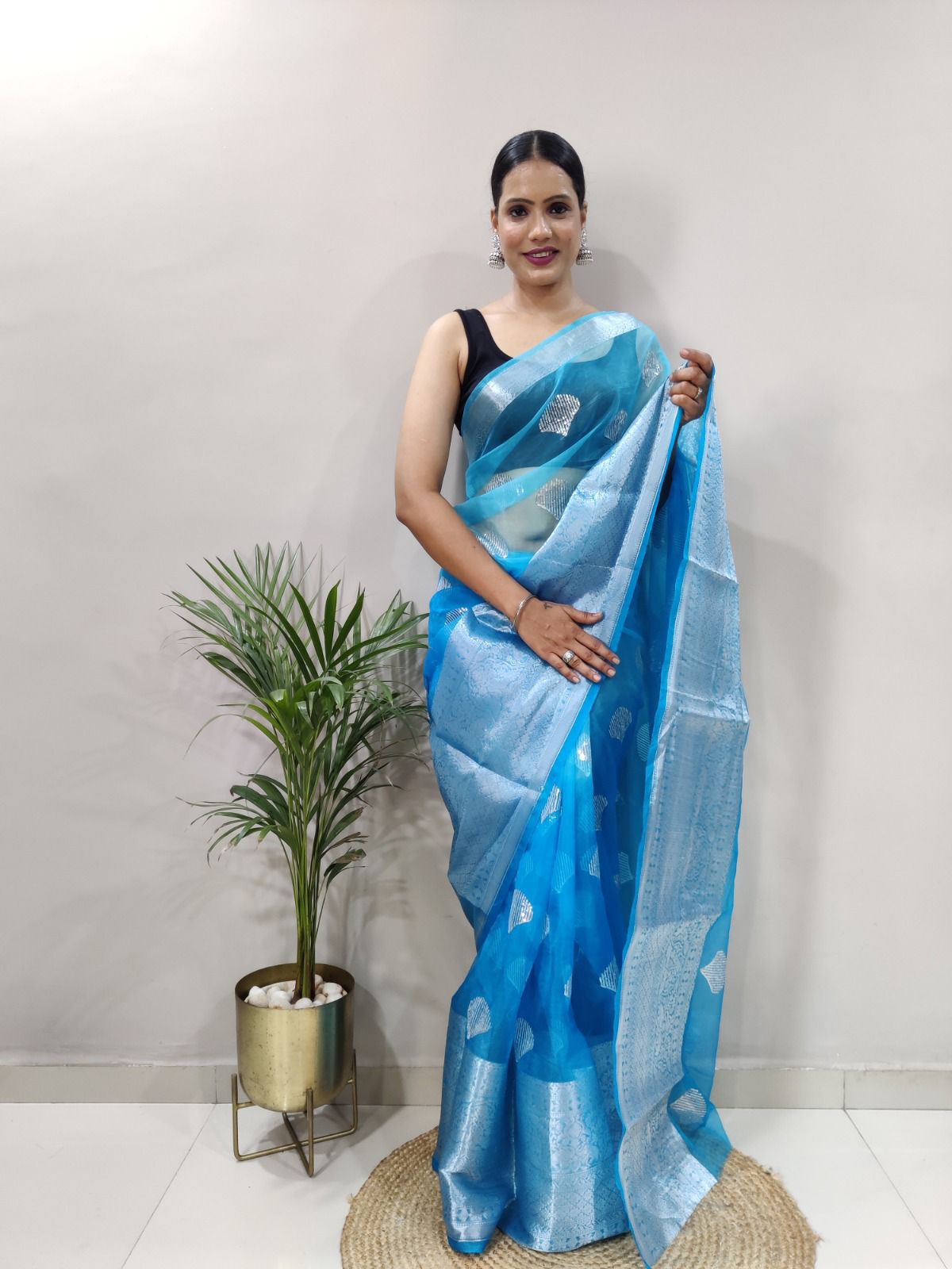 Kanchipuram Organza Saree