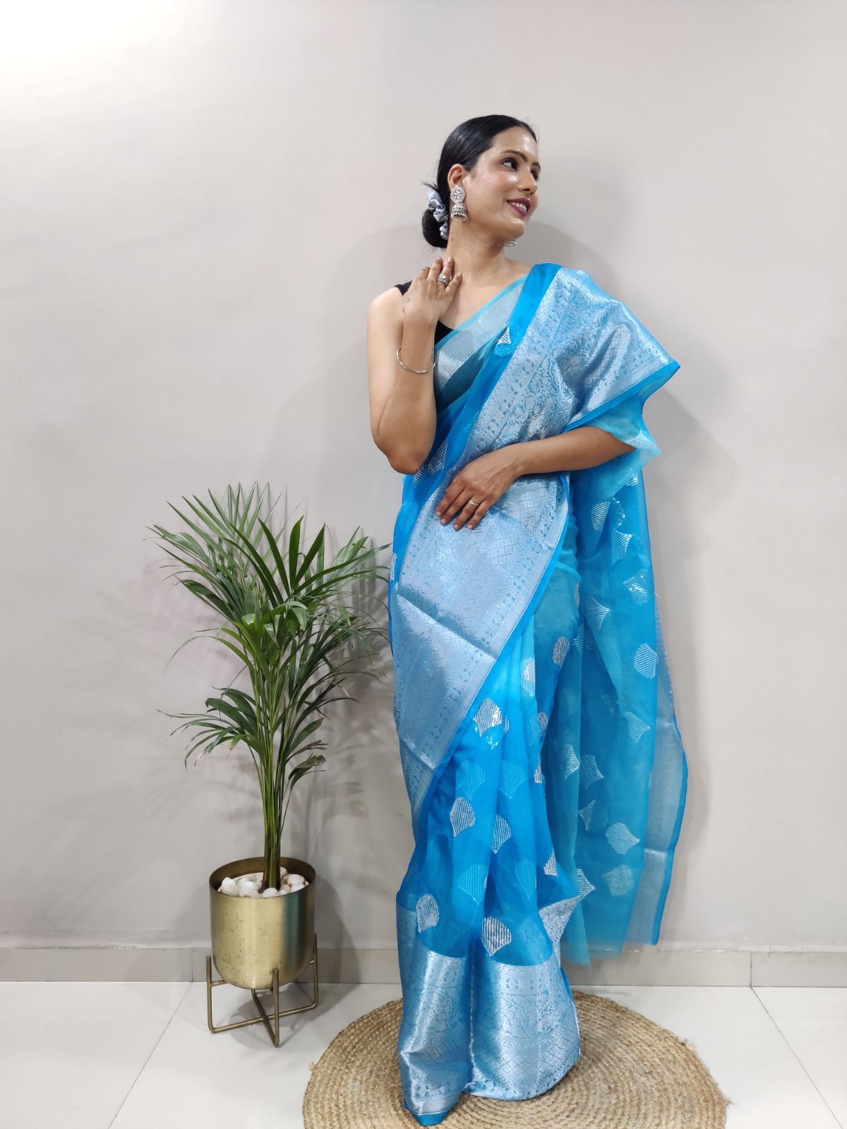 Kanchipuram Organza Saree