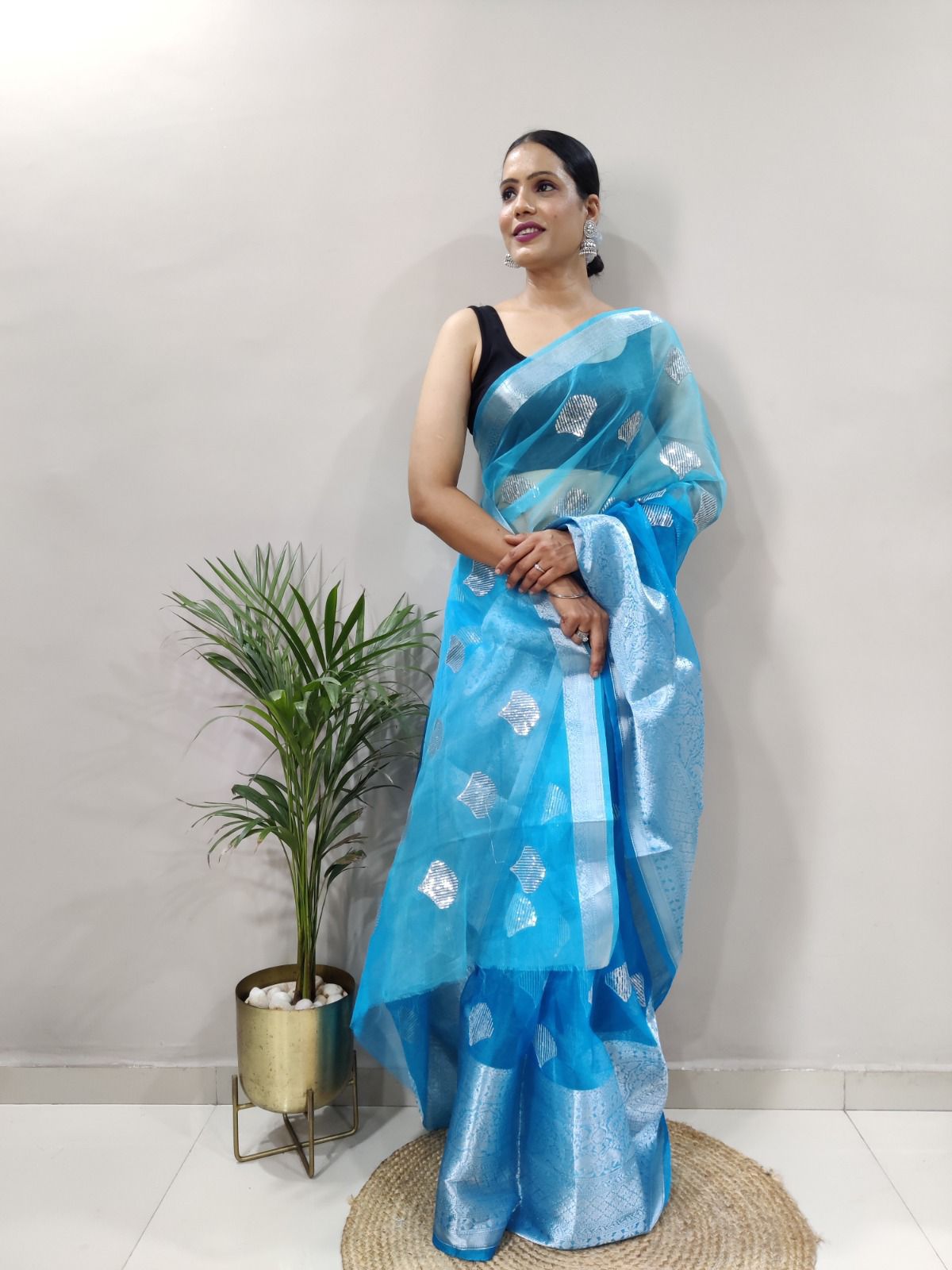 Kanchipuram Organza Saree