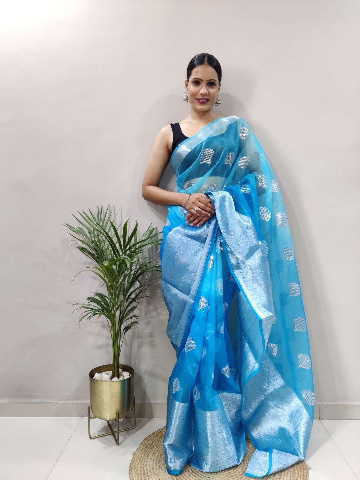 Kanchipuram Organza Saree