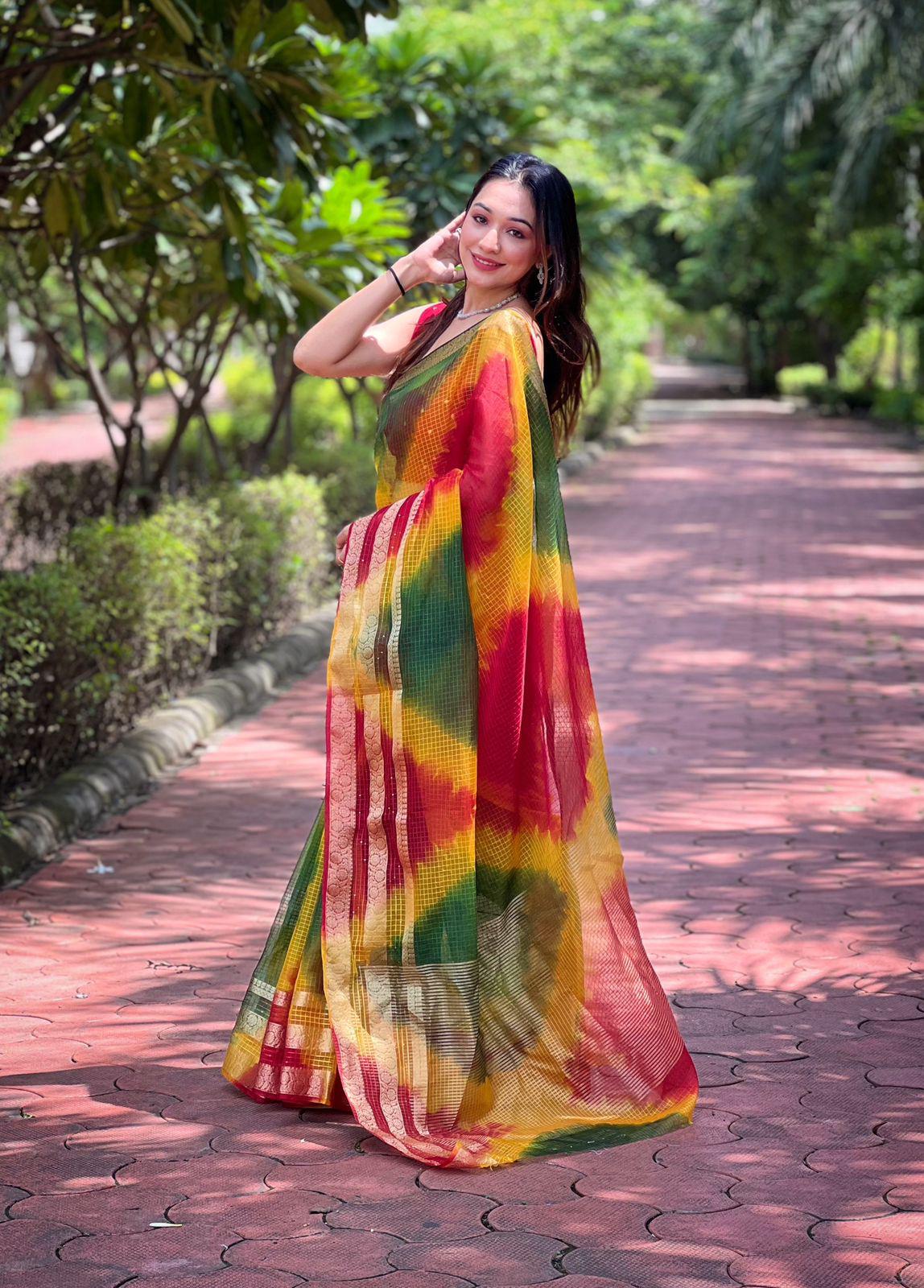 Organza Checks Saree