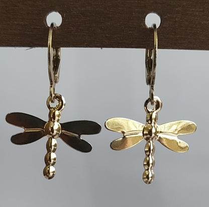 Golden Dangling Earrings