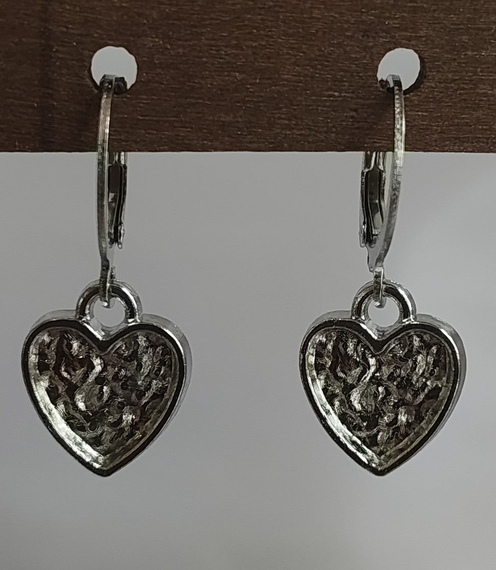 Silver Dangling Earrings