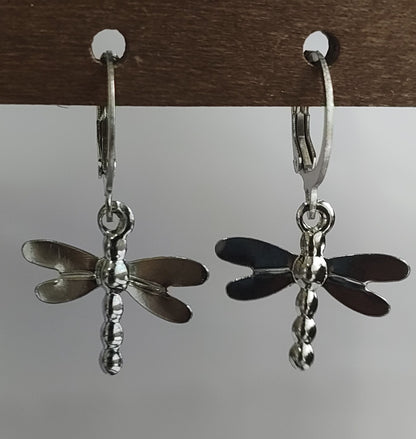 Silver Dangling Earrings