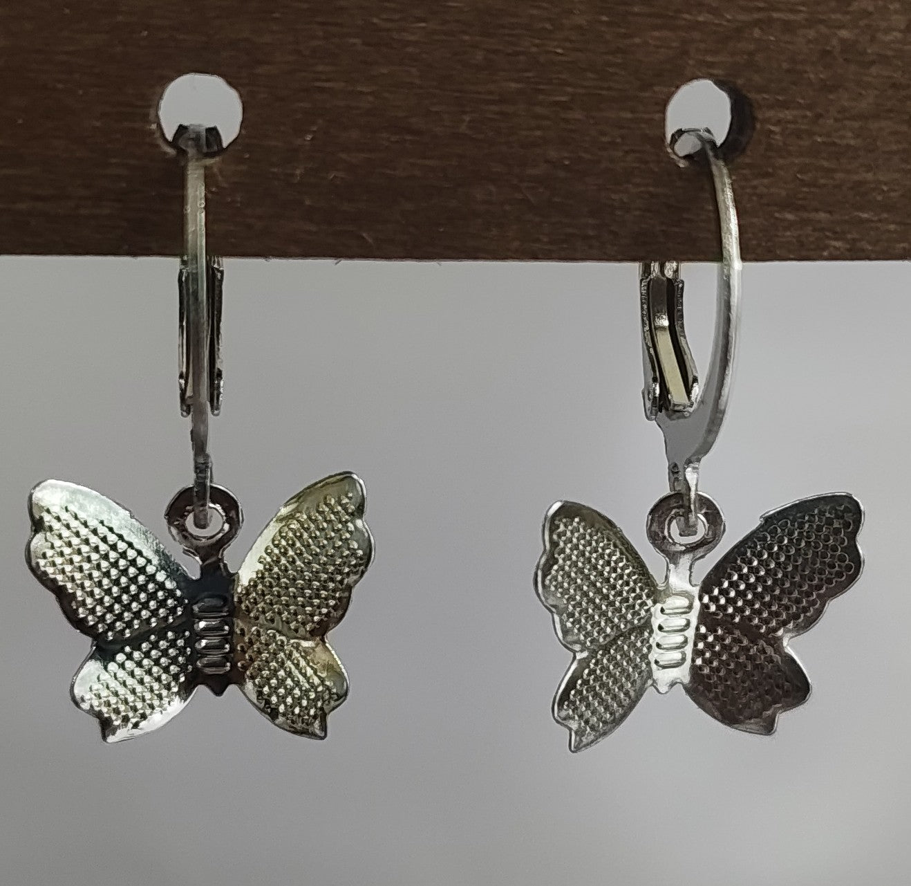 Silver Dangling Earrings