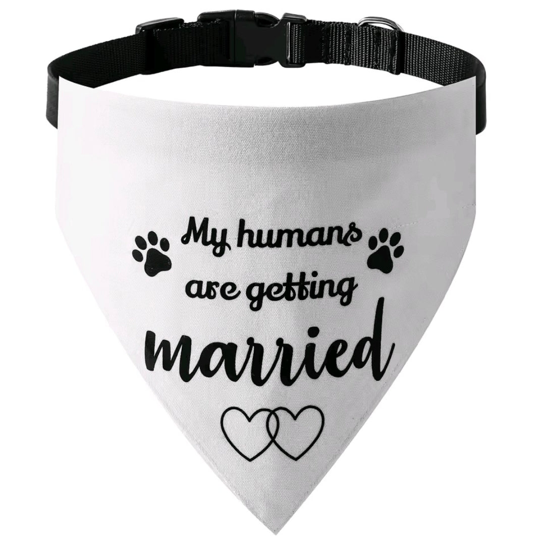 Dog Bandanas
