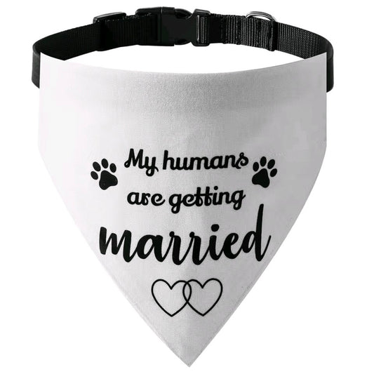 Dog Bandanas