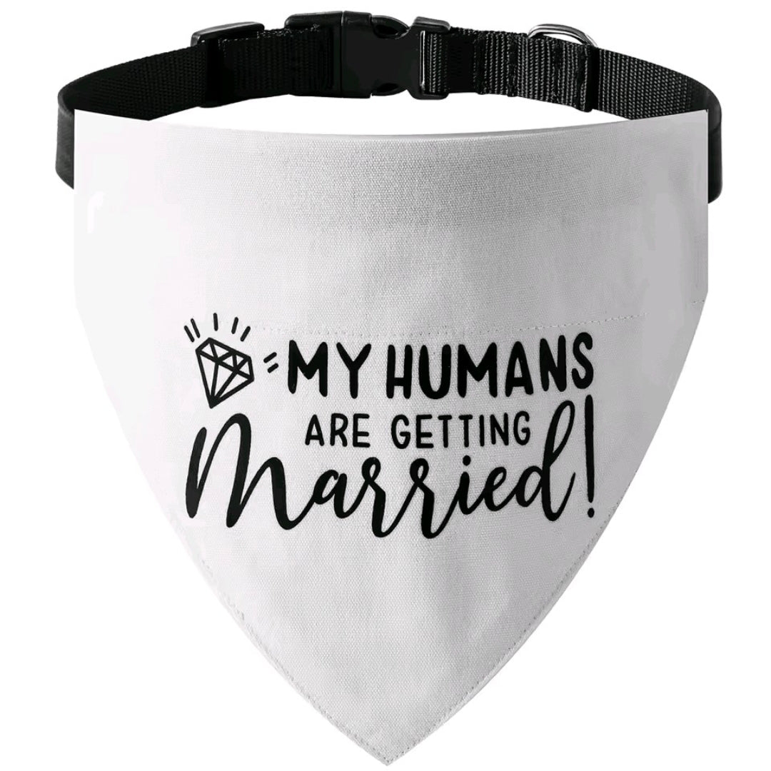 Dog Bandanas