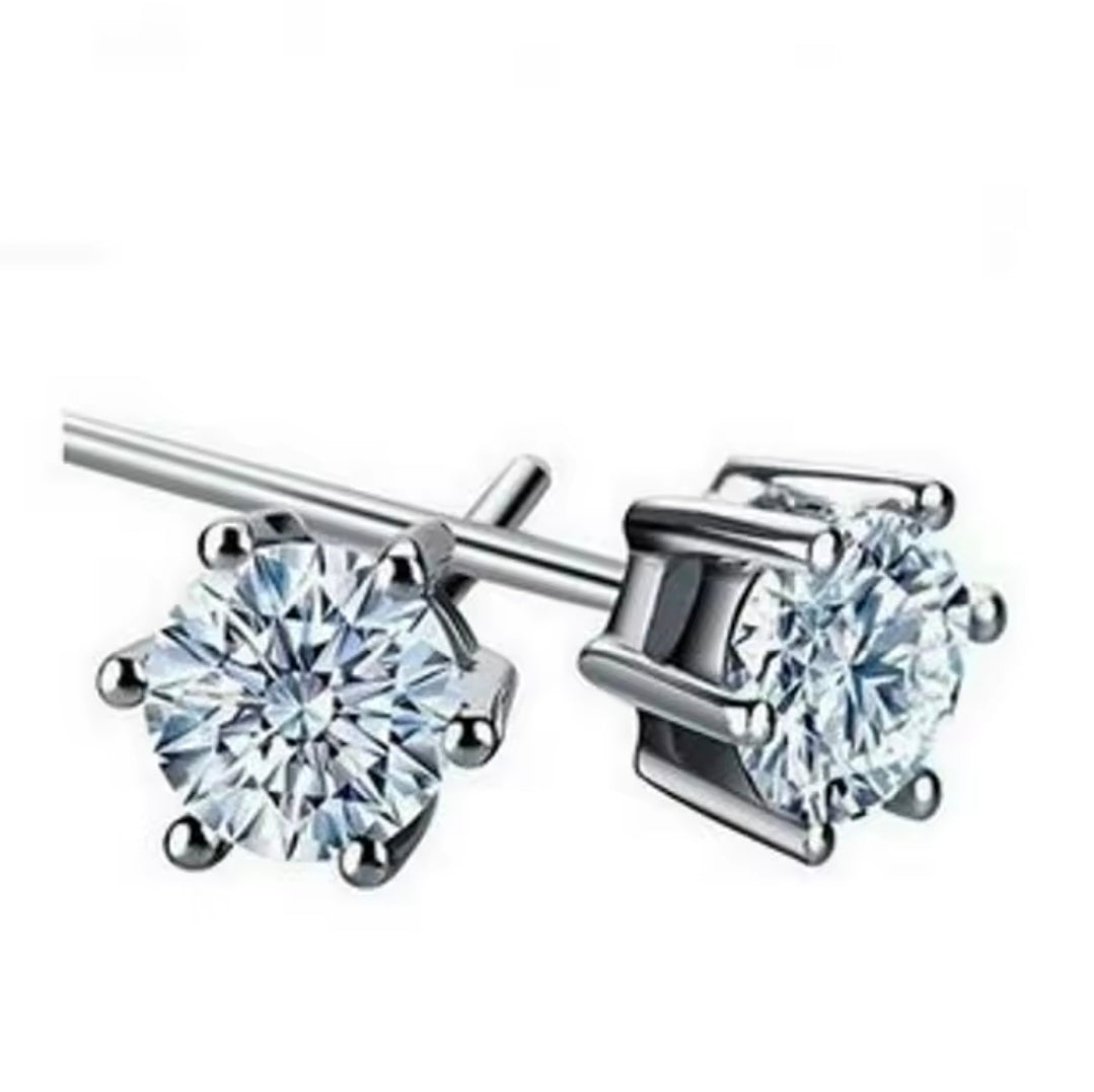 Silver Plated Earrings