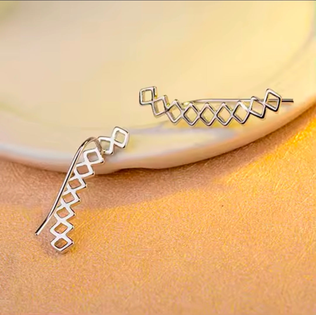 Silver Plated Earrings