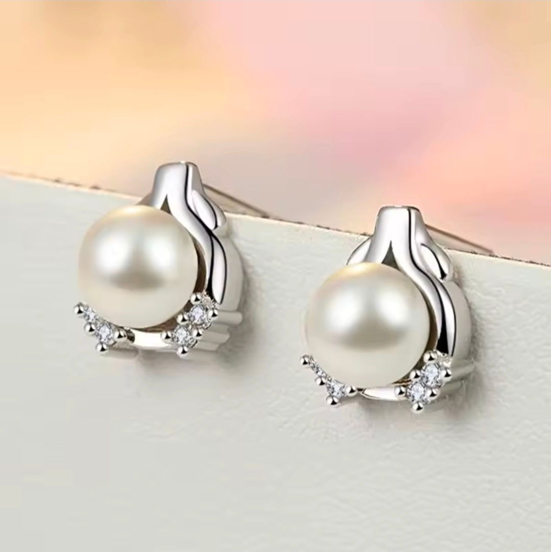 Silver Plated Earrings