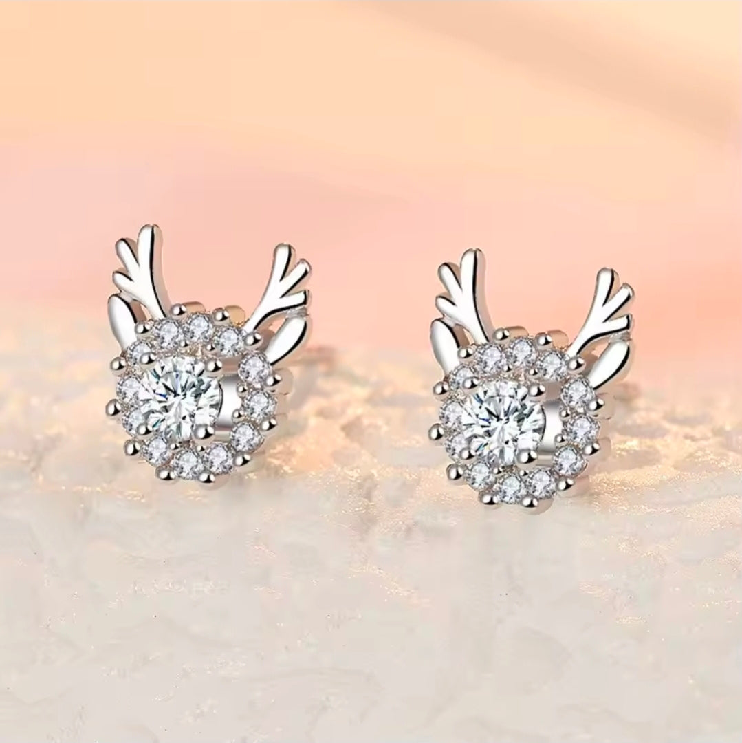 Silver Plated Earrings