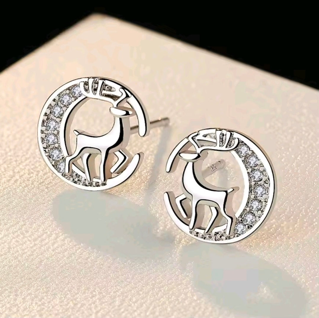 Silver Plated Earrings
