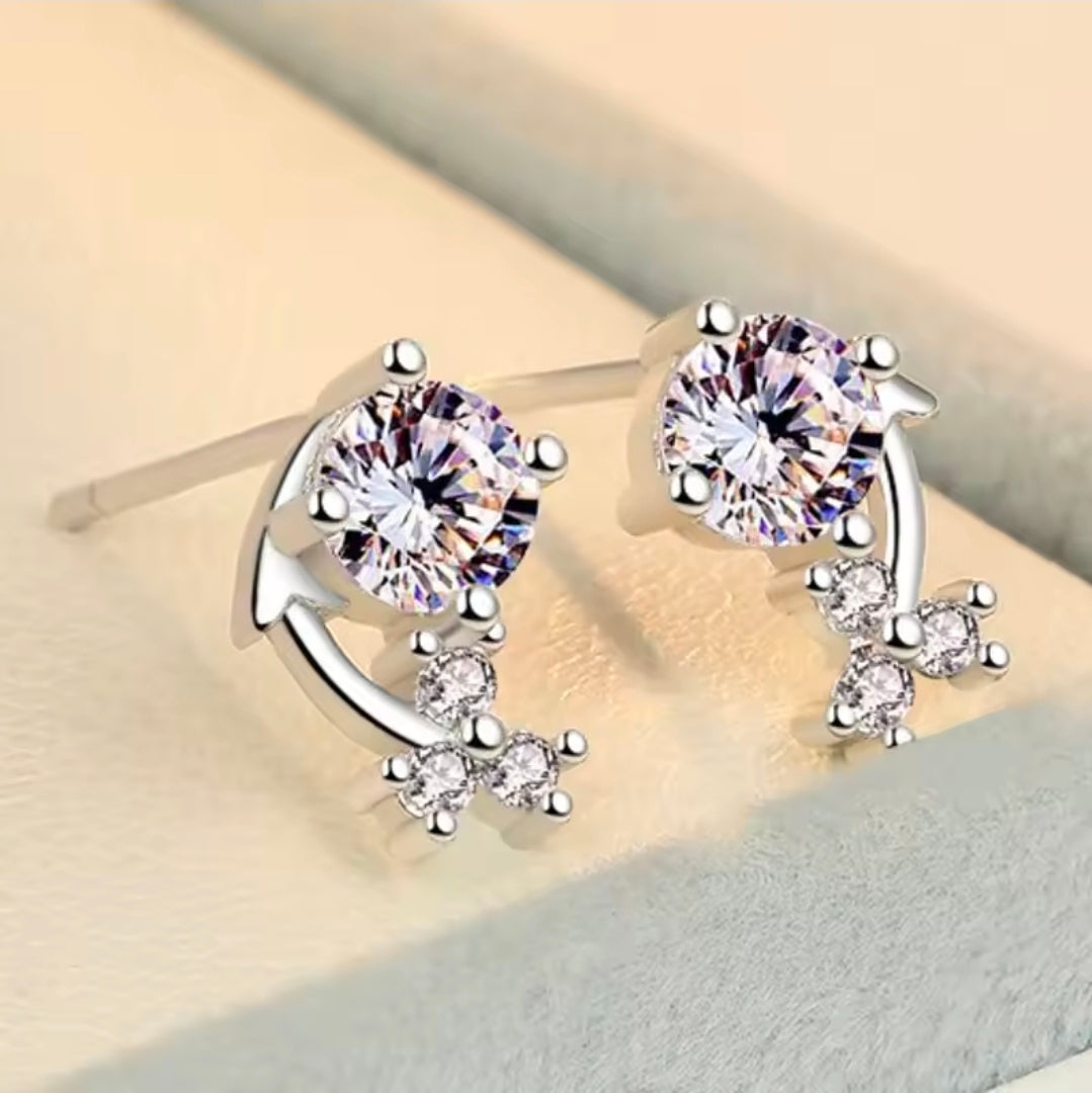 Silver Plated Earrings