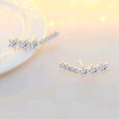 Silver Plated Earrings