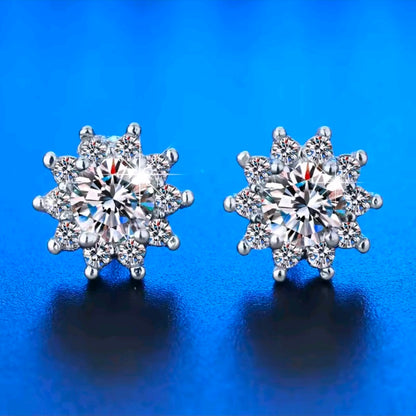 Silver Plated Earrings