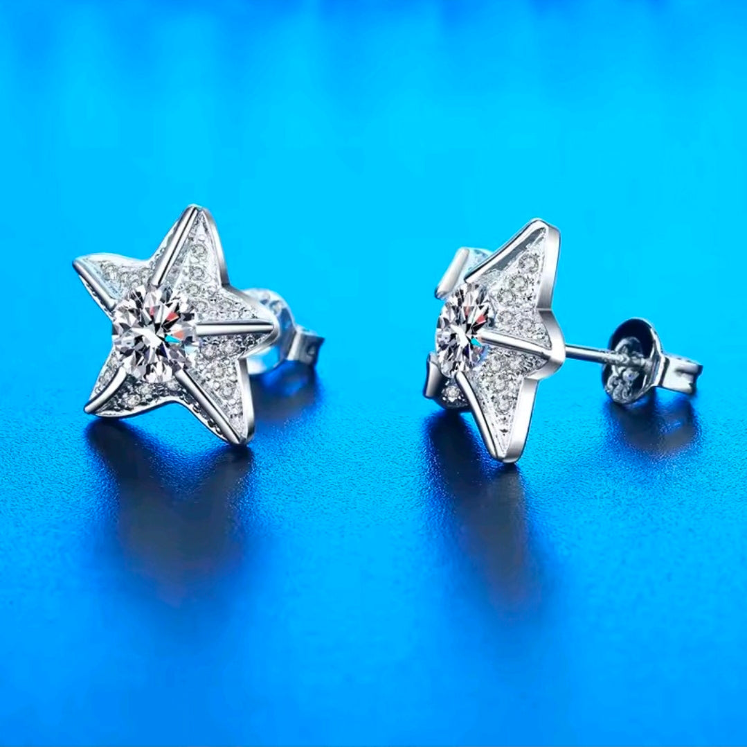 Silver Plated Earrings