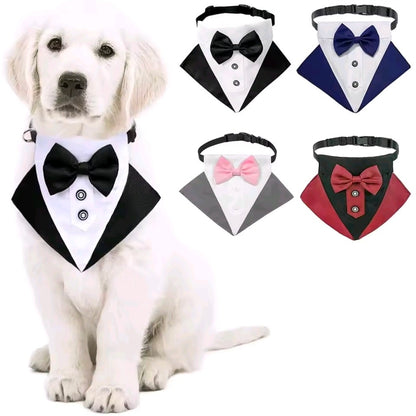 Dog Tuxedo Collar