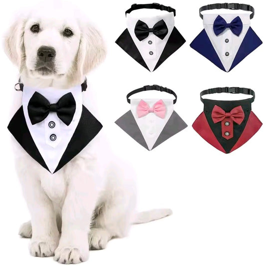 Dog Tuxedo Collar