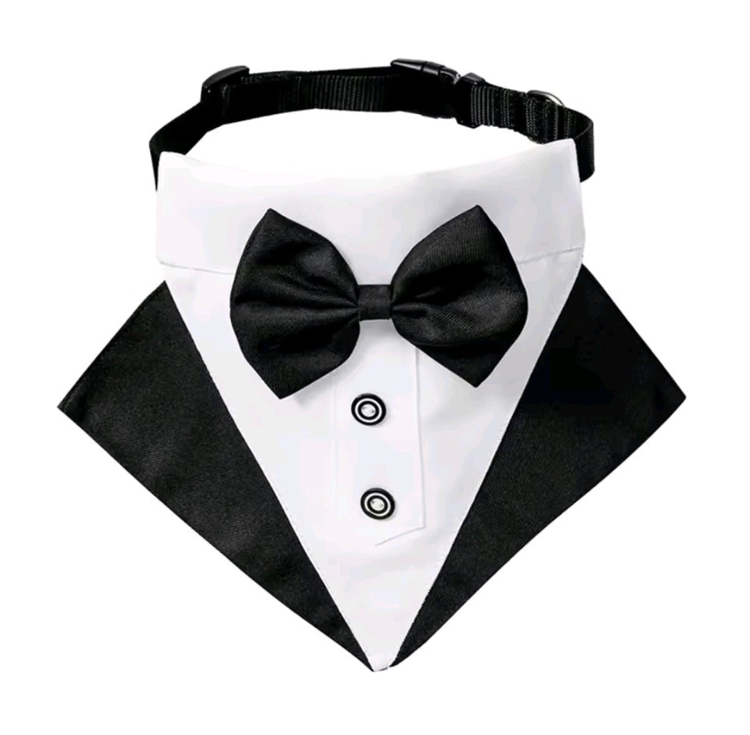 Dog Tuxedo Collar