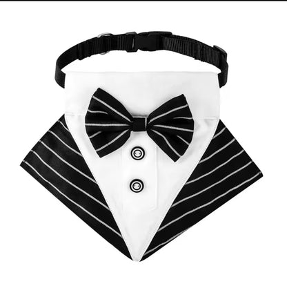Dog Tuxedo Collar