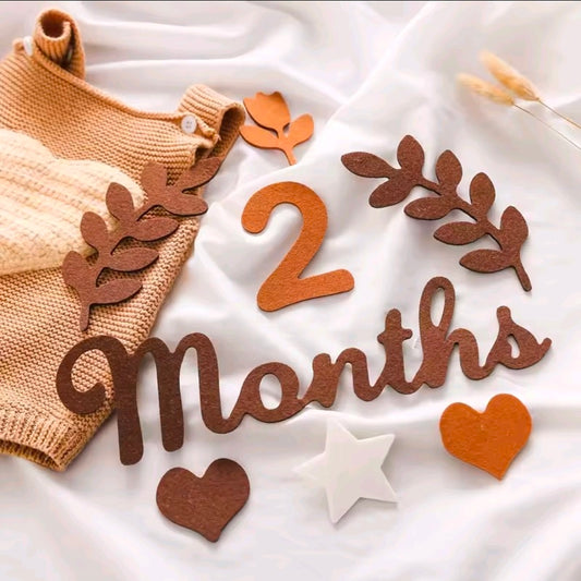 Baby Milestone Accessories