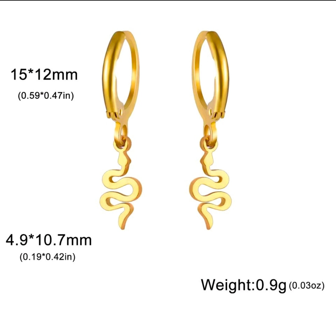 Dangle Earrings