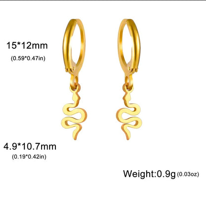 Dangle Earrings