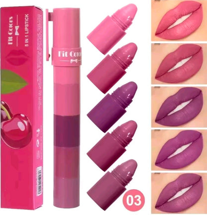 5 in 1 Matte Lip Crayon