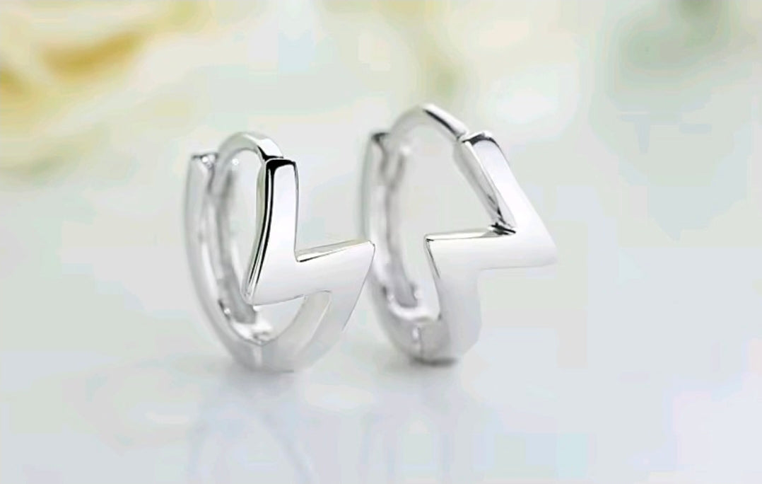 Silver Plated Earrings