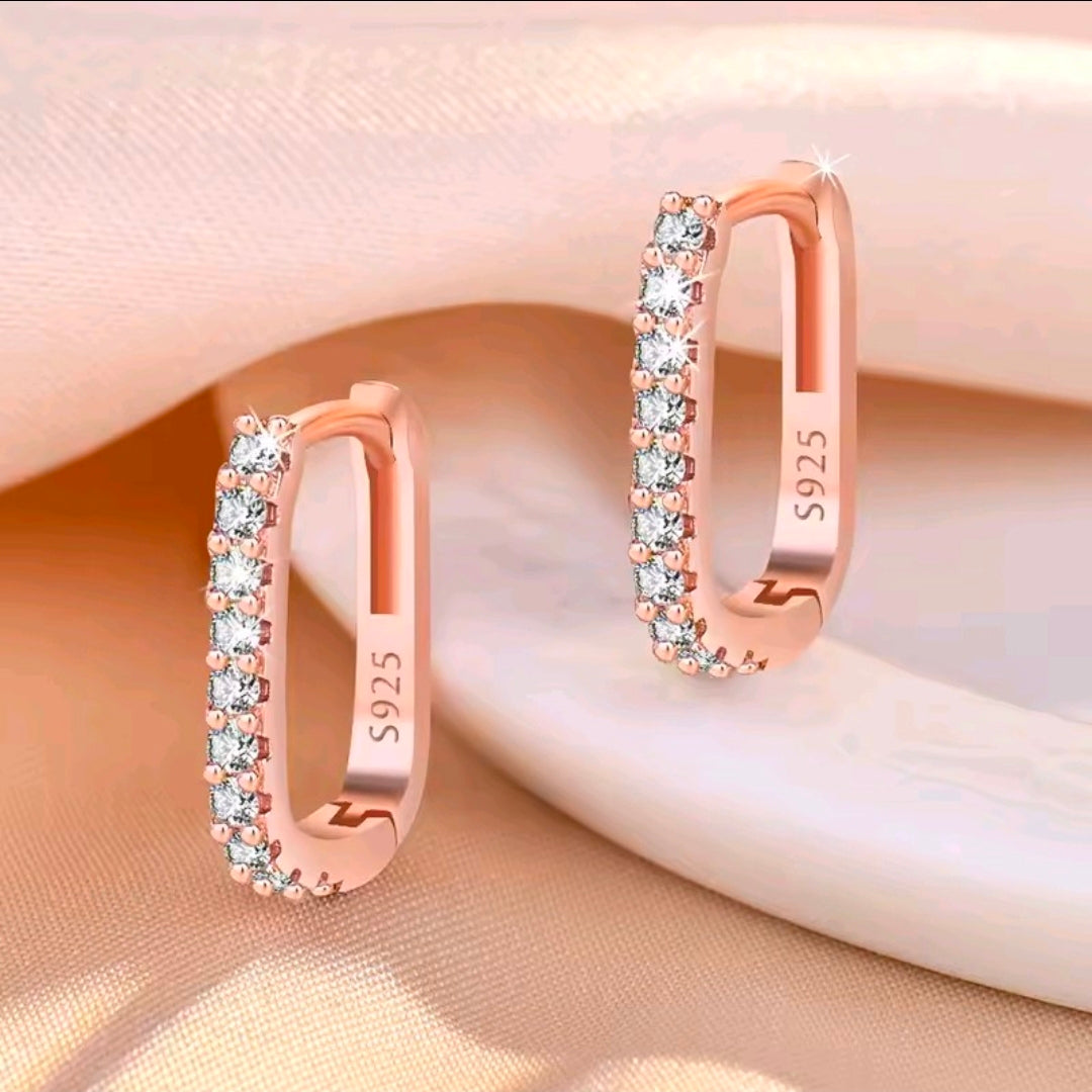 Silver Plated Earrings