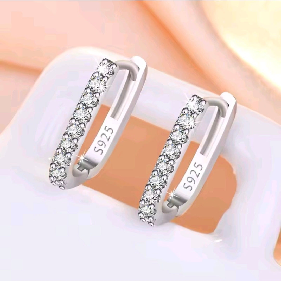 Silver Plated Earrings
