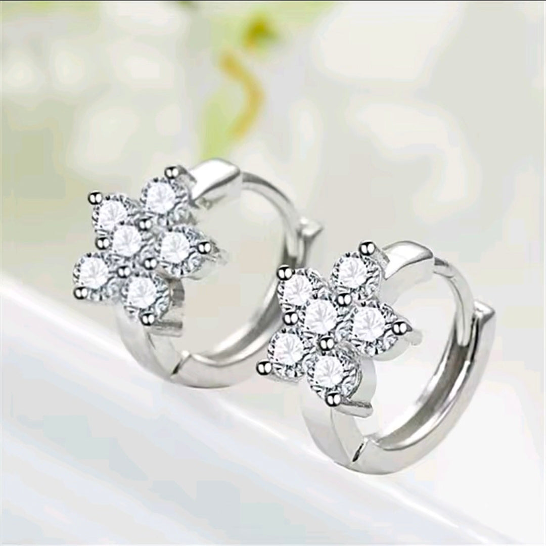Silver Plated Earrings