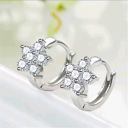 Silver Plated Earrings