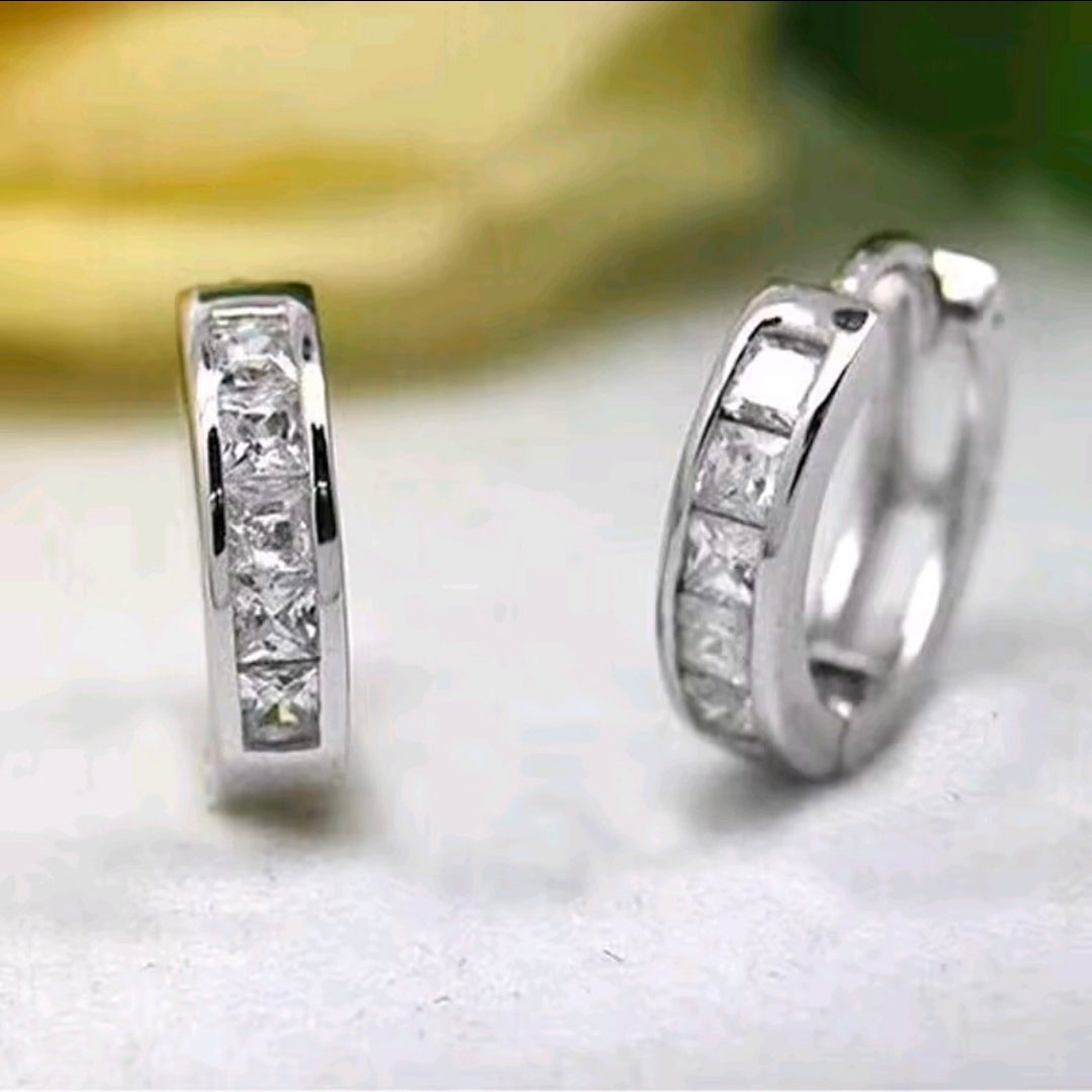 Silver Plated Earrings