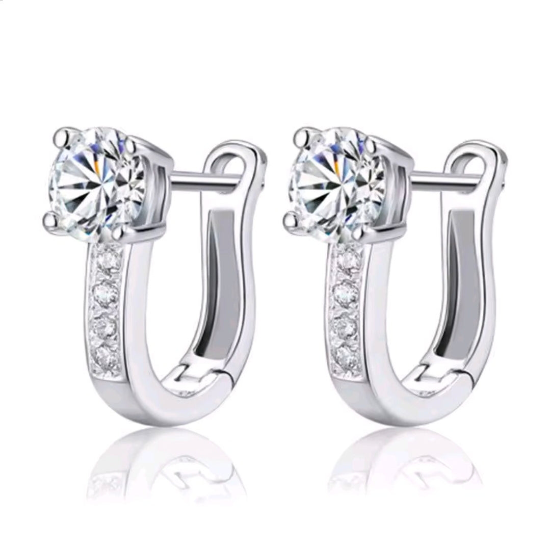 Silver Plated Earrings