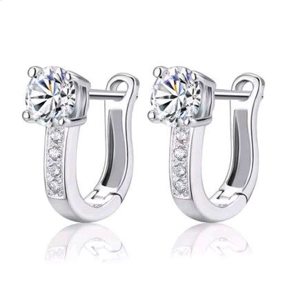 Silver Plated Earrings