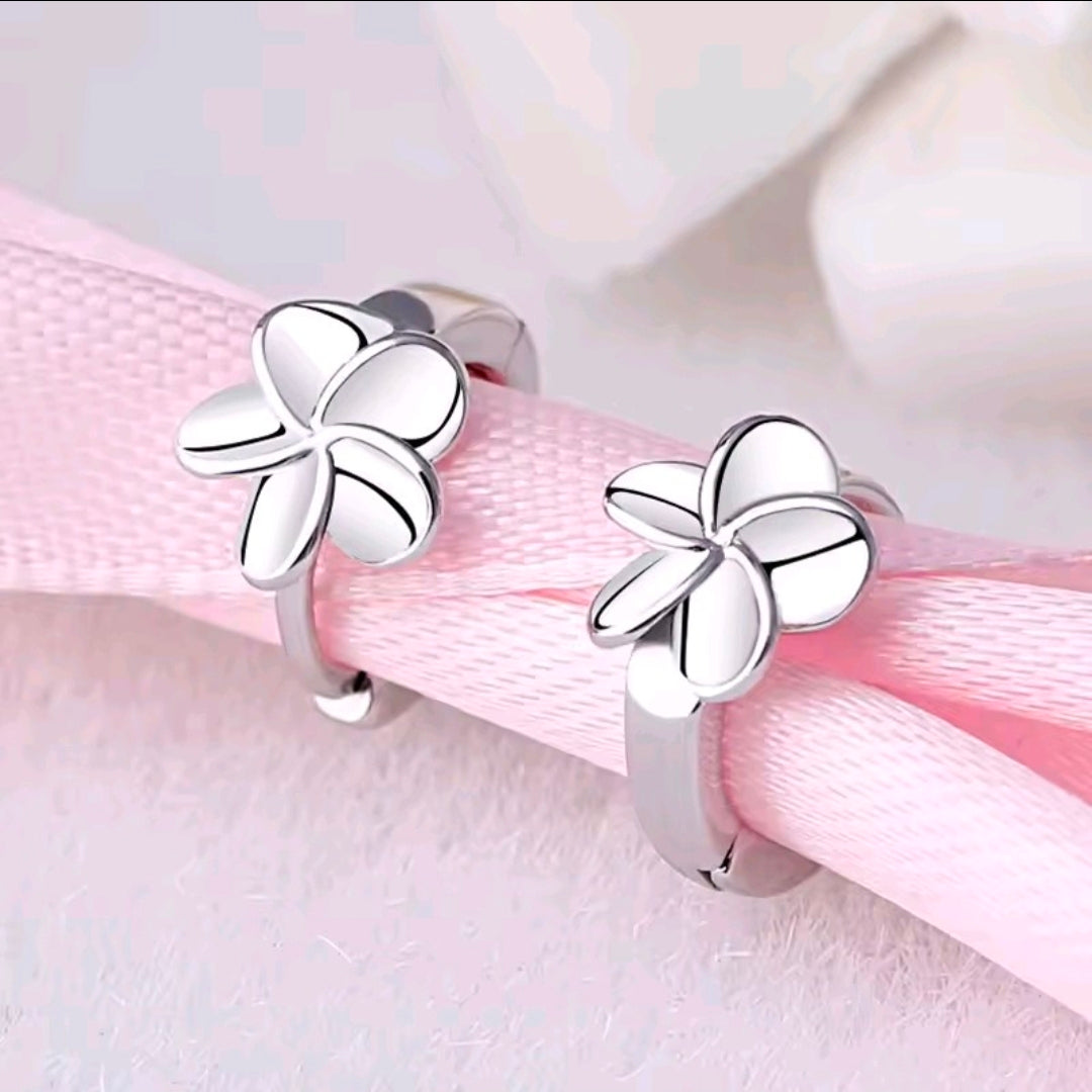 Silver Plated Earrings
