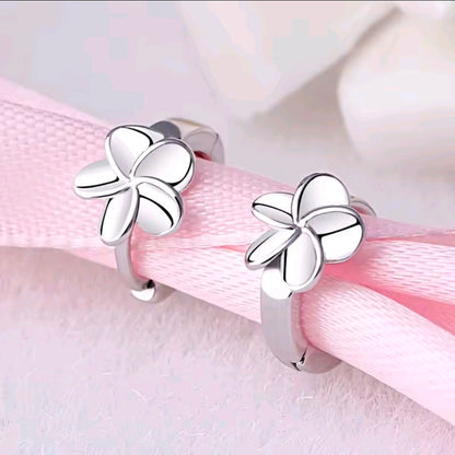 Silver Plated Earrings